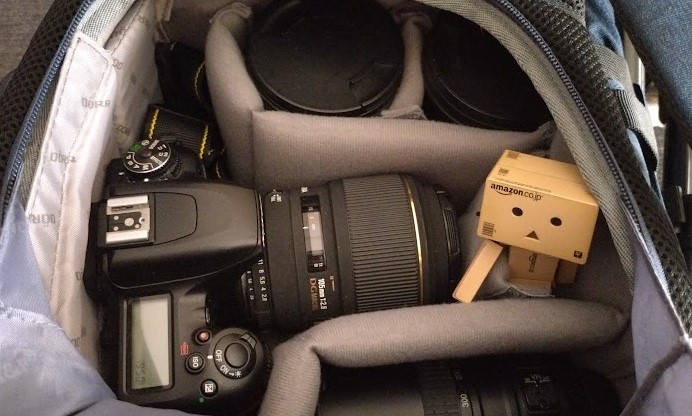 Danbo blickt aus dem Fotorucksack